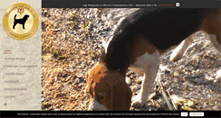 Desktop Screenshot of beaglelamarca.it